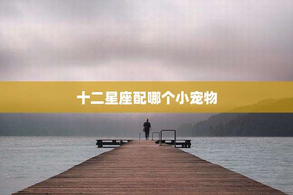 十二星座配哪个小宠物