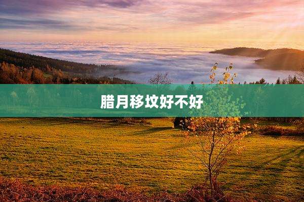腊月移坟好不好