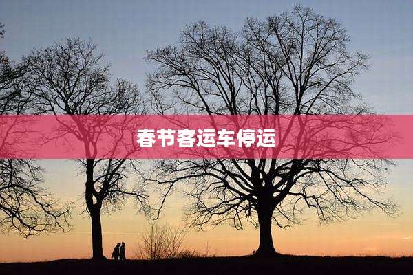 春节客运车停运