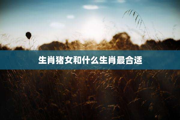 生肖猪女和什么生肖最合适