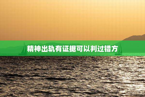 精神出轨有证据可以判过错方