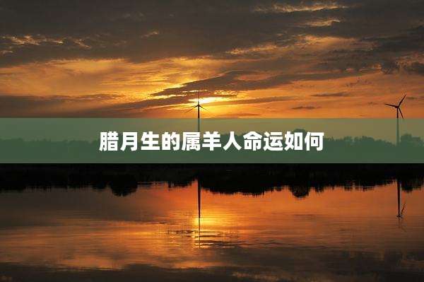 腊月生的属羊人命运如何