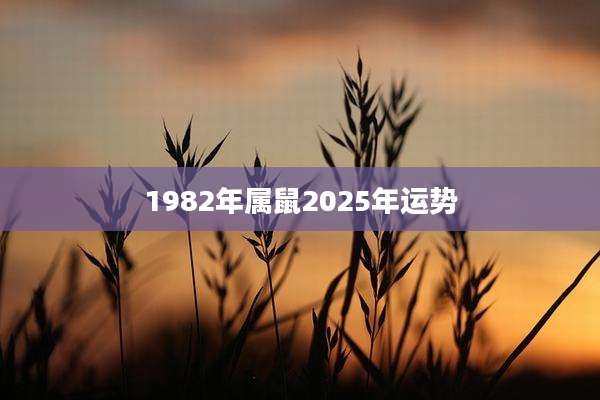 1982年属鼠2025年运势