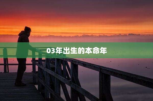 03年出生的本命年