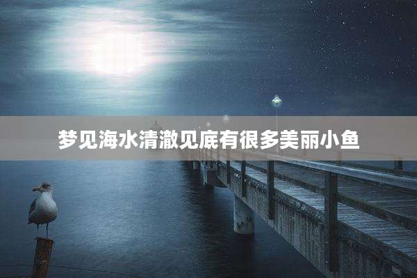 梦见海水清澈见底有很多美丽小鱼