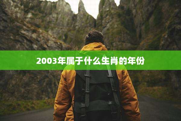2003年属于什么生肖的年份