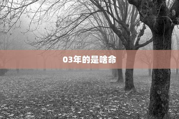 03年的是啥命