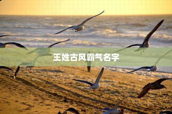 王姓古风霸气名字
