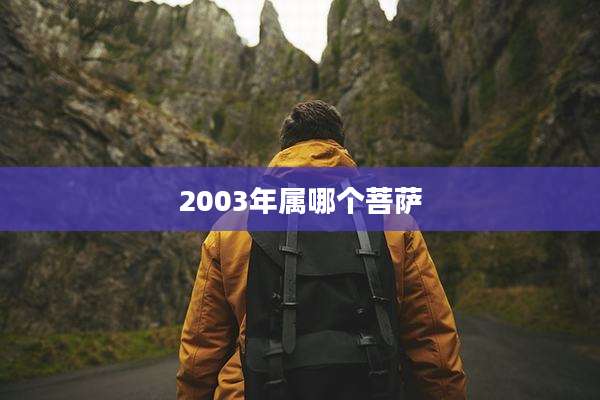 2003年属哪个菩萨