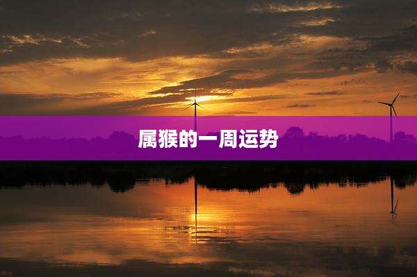 属猴的一周运势