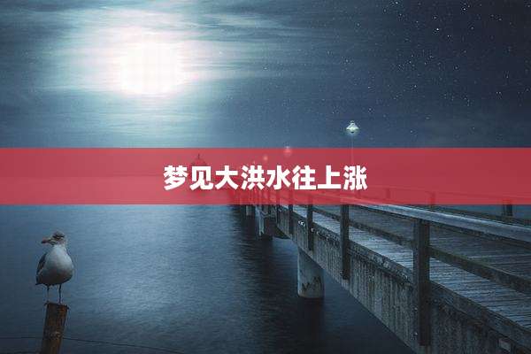 梦见大洪水往上涨