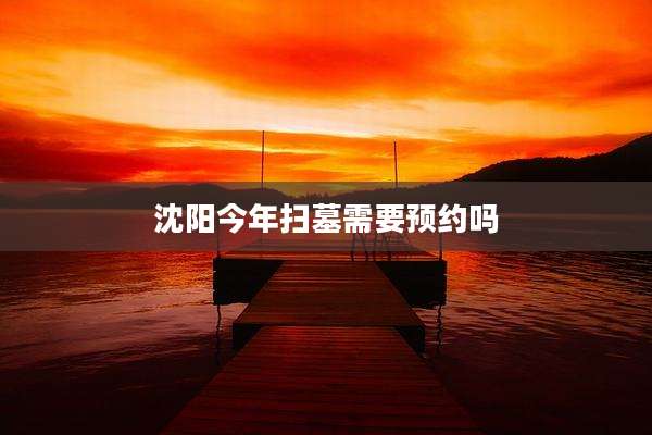 沈阳今年扫墓需要预约吗