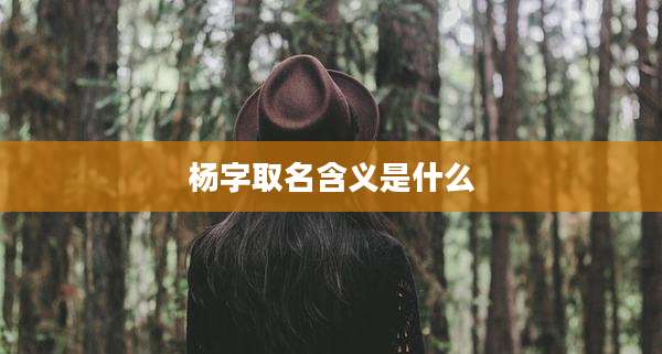 杨字取名含义是什么