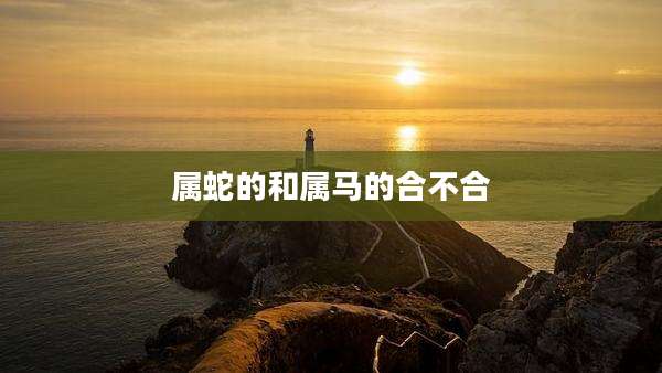 属蛇的和属马的合不合