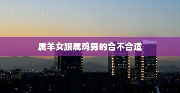 属羊女跟属鸡男的合不合适