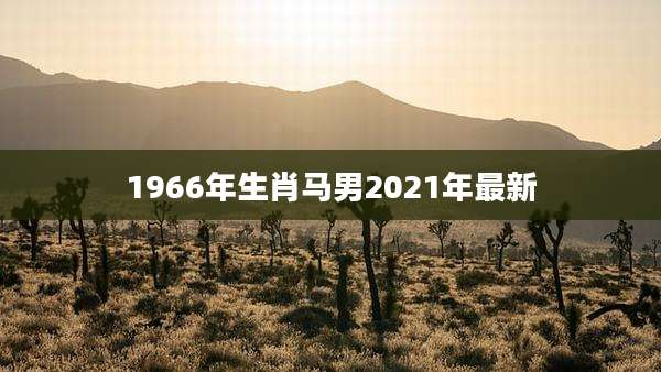 1966年生肖马男2021年最新