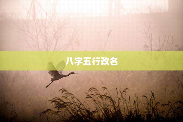 八字五行改名