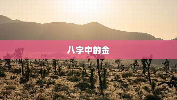 八字中的金