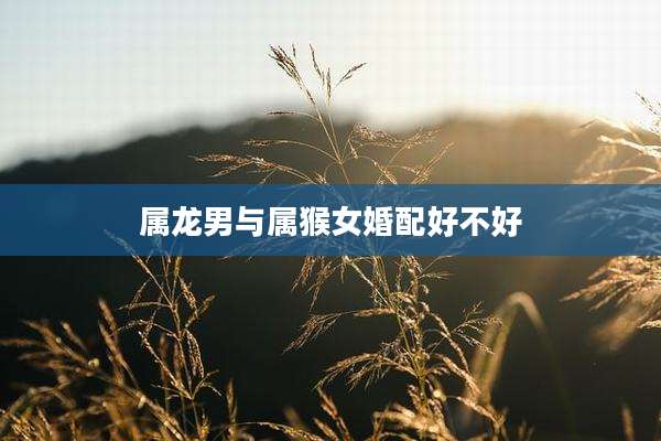 属龙男与属猴女婚配好不好