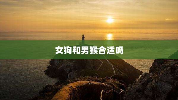 女狗和男猴合适吗