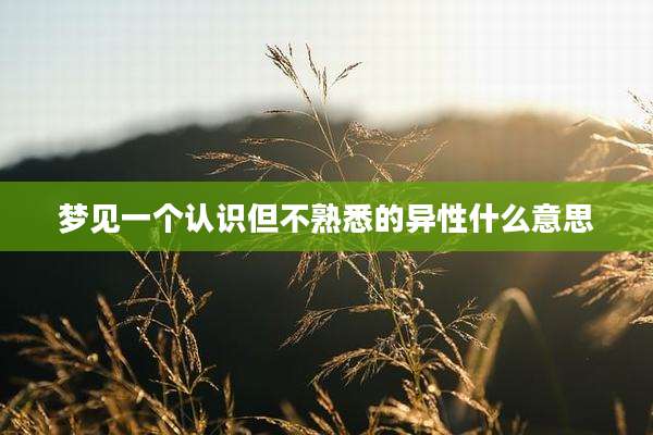 梦见一个认识但不熟悉的异性什么意思