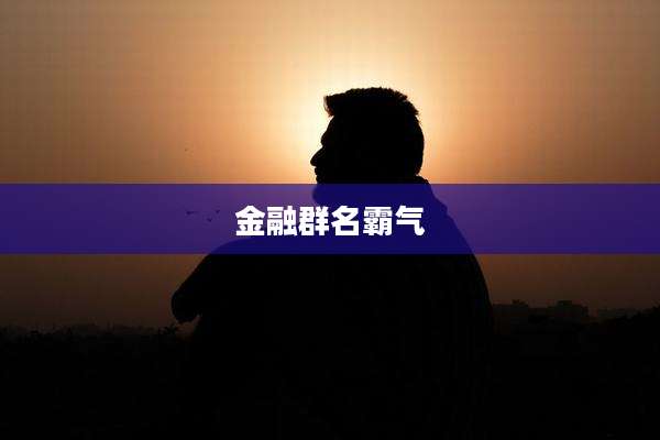 金融群名霸气