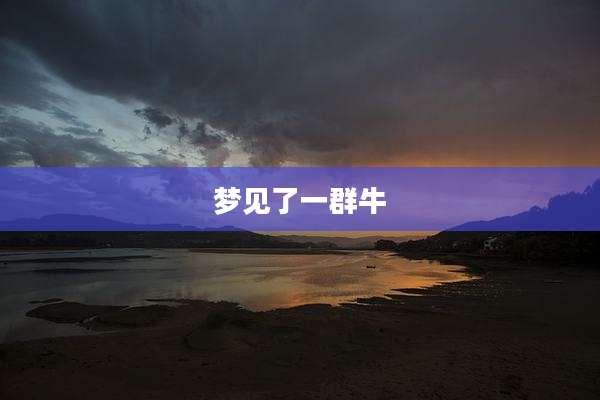 梦见了一群牛