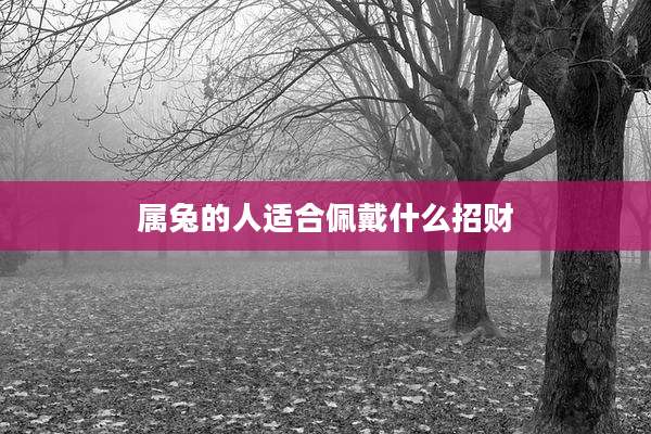 属兔的人适合佩戴什么招财