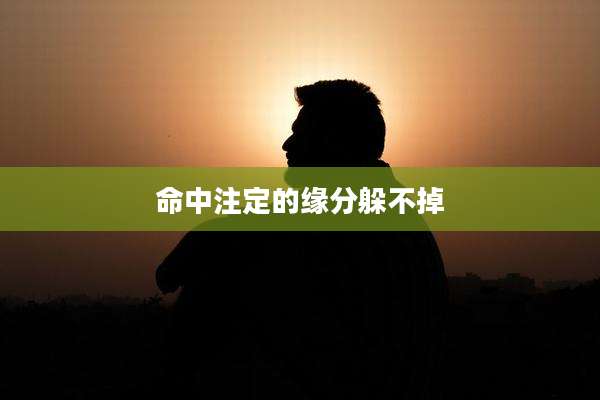 命中注定的缘分躲不掉