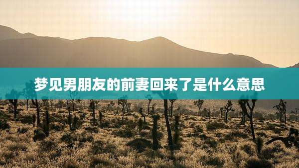 梦见男朋友的前妻回来了是什么意思