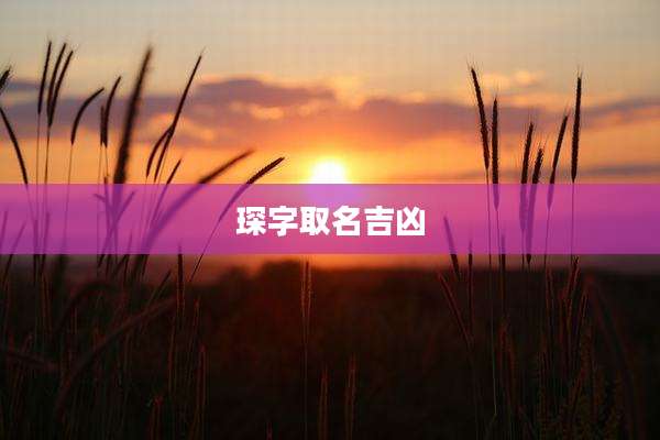 琛字取名吉凶