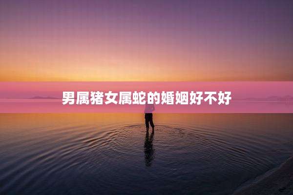 男属猪女属蛇的婚姻好不好