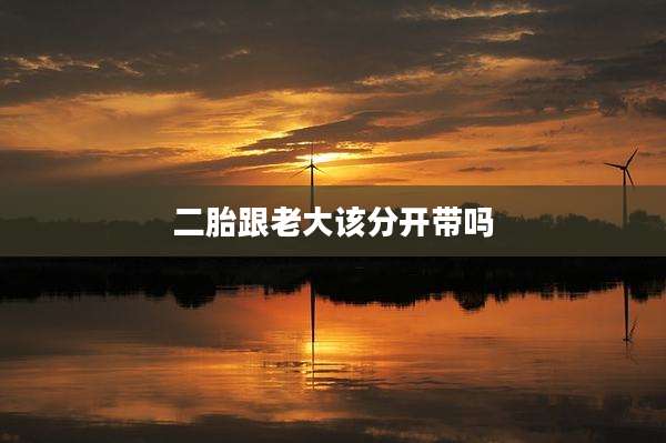 二胎跟老大该分开带吗