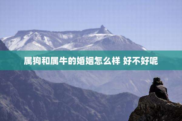 属狗和属牛的婚姻怎么样 好不好呢