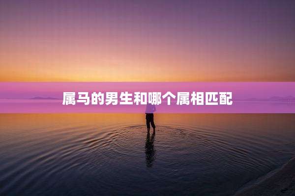 属马的男生和哪个属相匹配