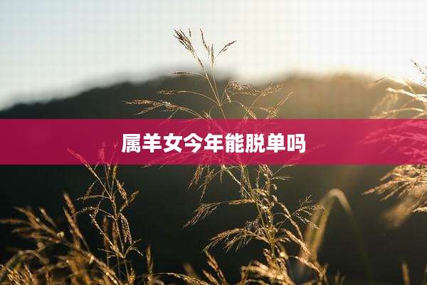 属羊女今年能脱单吗