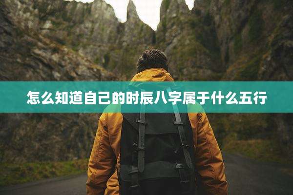 怎么知道自己的时辰八字属于什么五行