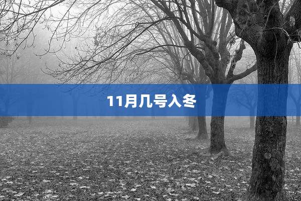 11月几号入冬