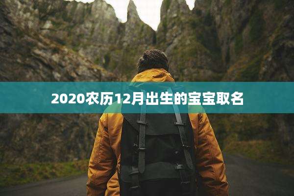 2020农历12月出生的宝宝取名
