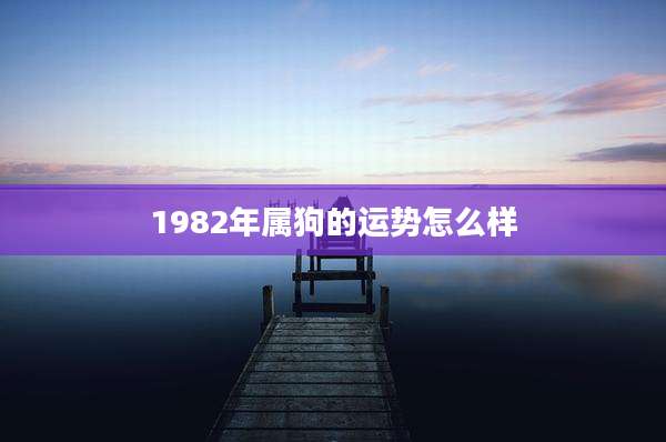 1982年属狗的运势怎么样