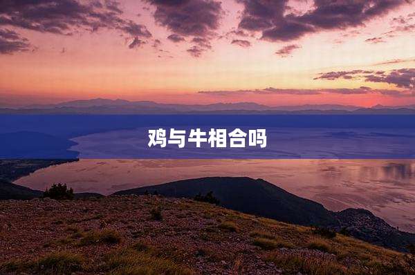 鸡与牛相合吗