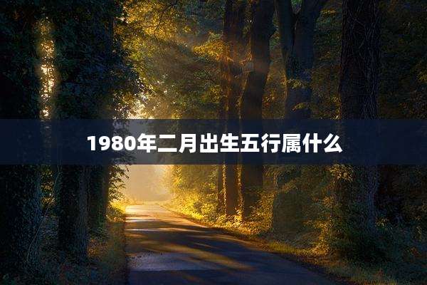1980年二月出生五行属什么