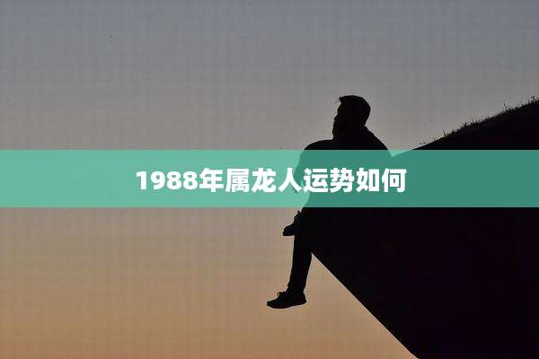 1988年属龙人运势如何