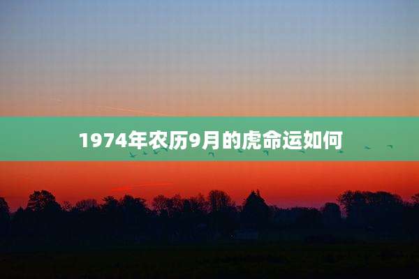 1974年农历9月的虎命运如何
