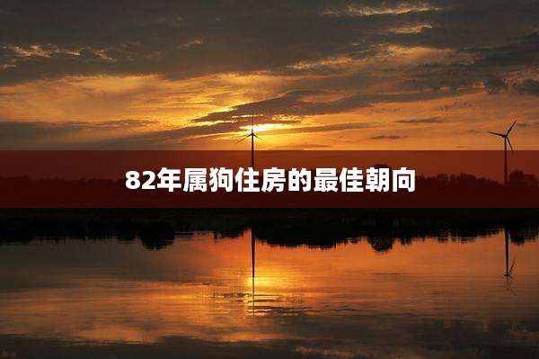 82年属狗住房的最佳朝向