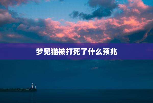 梦见猫被打死了什么预兆