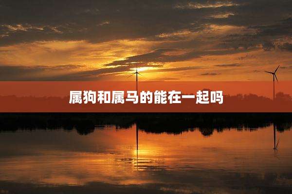 属狗和属马的能在一起吗