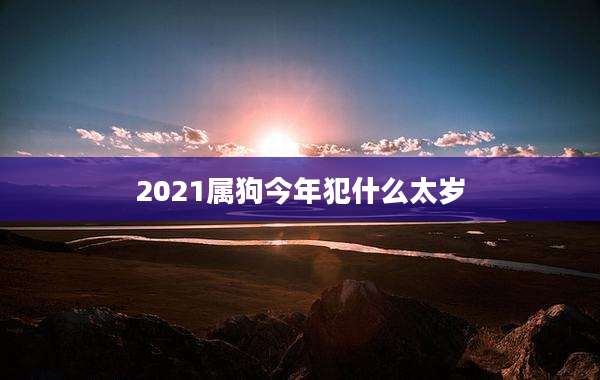 2021属狗今年犯什么太岁