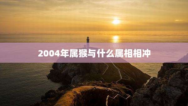 2004年属猴与什么属相相冲