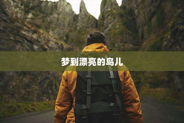 梦到漂亮的鸟儿